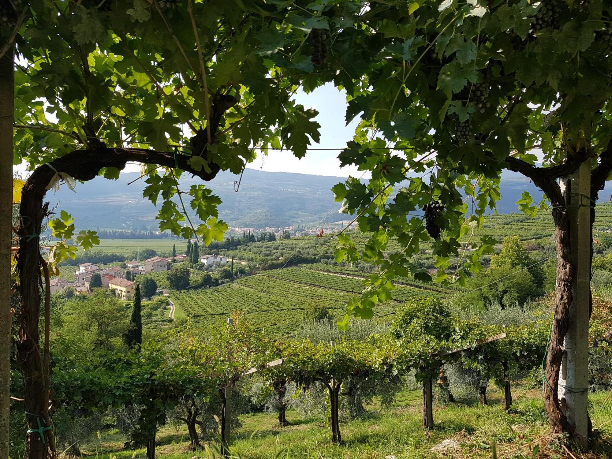 Agriturismo Valentina Cubi Фумане Экстерьер фото