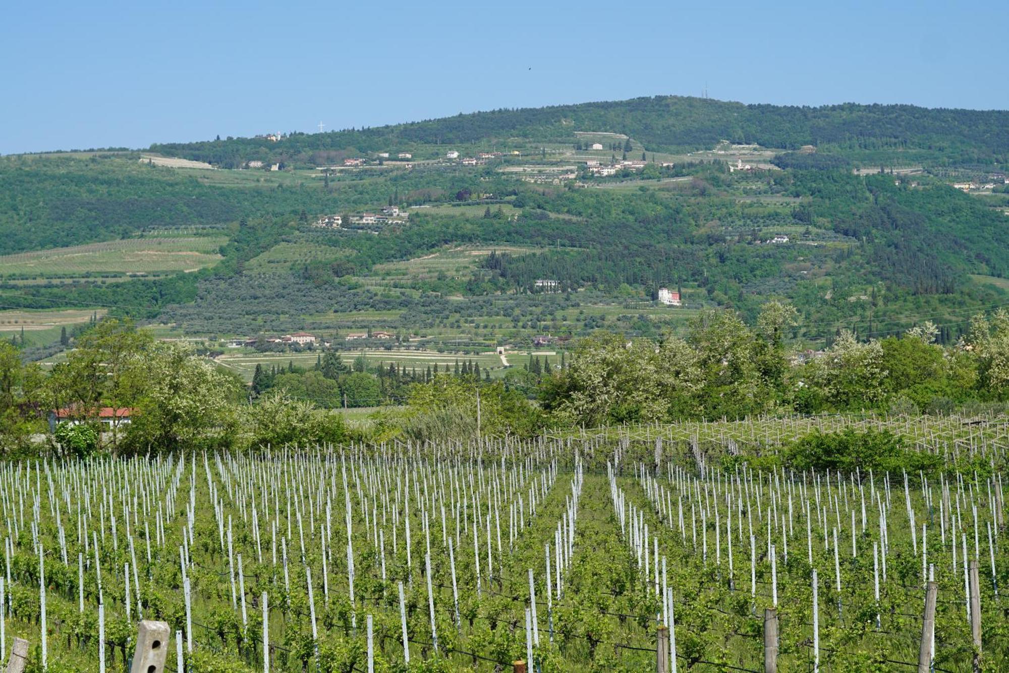 Agriturismo Valentina Cubi Фумане Экстерьер фото